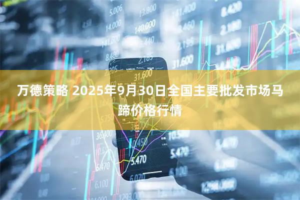 万德策略 2025年9月30日全国主要批发市场马蹄价格行情
