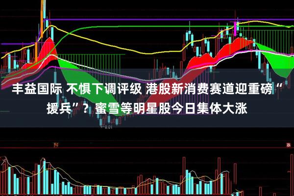 丰益国际 不惧下调评级 港股新消费赛道迎重磅“援兵”？蜜雪等明星股今日集体大涨