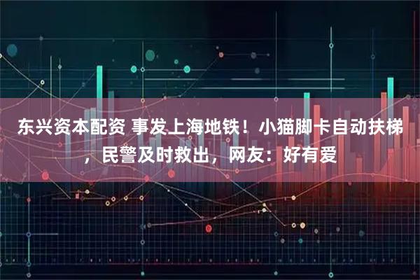 东兴资本配资 事发上海地铁！小猫脚卡自动扶梯，民警及时救出，网友：好有爱